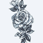 Design del tatuaggio semi-permanente Bouquet di Rose di INKON – illustrazione bellissima, rosa, fiore, circondata, boccioli, 4 x 7 in (10x17cm), disponibile su inkon.co
