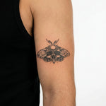 Tatuaggio semi-permanente INKON Death's-Head Moth applicato su un uomo – design 3 x 4 in (6x11cm), aspetto realistico dell'inchiostro, dura 10 giorni