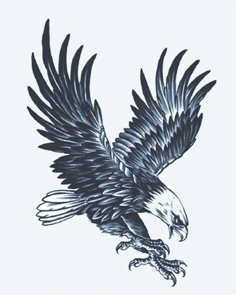 Design del tatuaggio semi-permanente Aquila Calva di INKON – illustrazione maestosa, calva, aquila, picchiata, giù, 4 x 7 in (10x17cm), disponibile su inkon.co