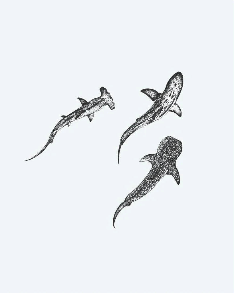 Design del tatuaggio semi-permanente Tre Squali di INKON – illustrazione trio, squali, dotwork, martello, barriera, 4 x 4 in (9x9cm), disponibile su inkon.co