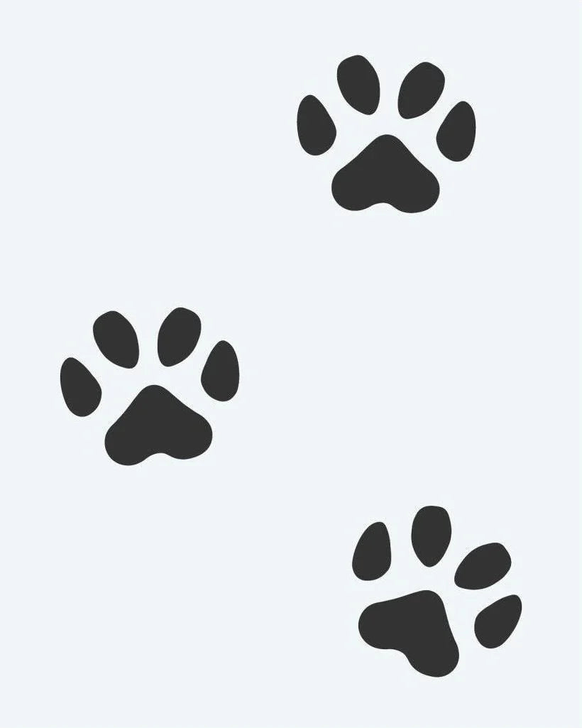 Design del tatuaggio semi-permanente Paw Print Trail di INKON – illustrazione di tre impronte di zampa in una scia diagonale, 2 x 2 in (5x5cm), disponibile su inkon.co