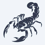 Design del tatuaggio semi-permanente Striking Scorpion di INKON – illustrazione di scorpione dinamico con coda alzata, 2 x 2 in (5x5cm), disponibile su inkon.co