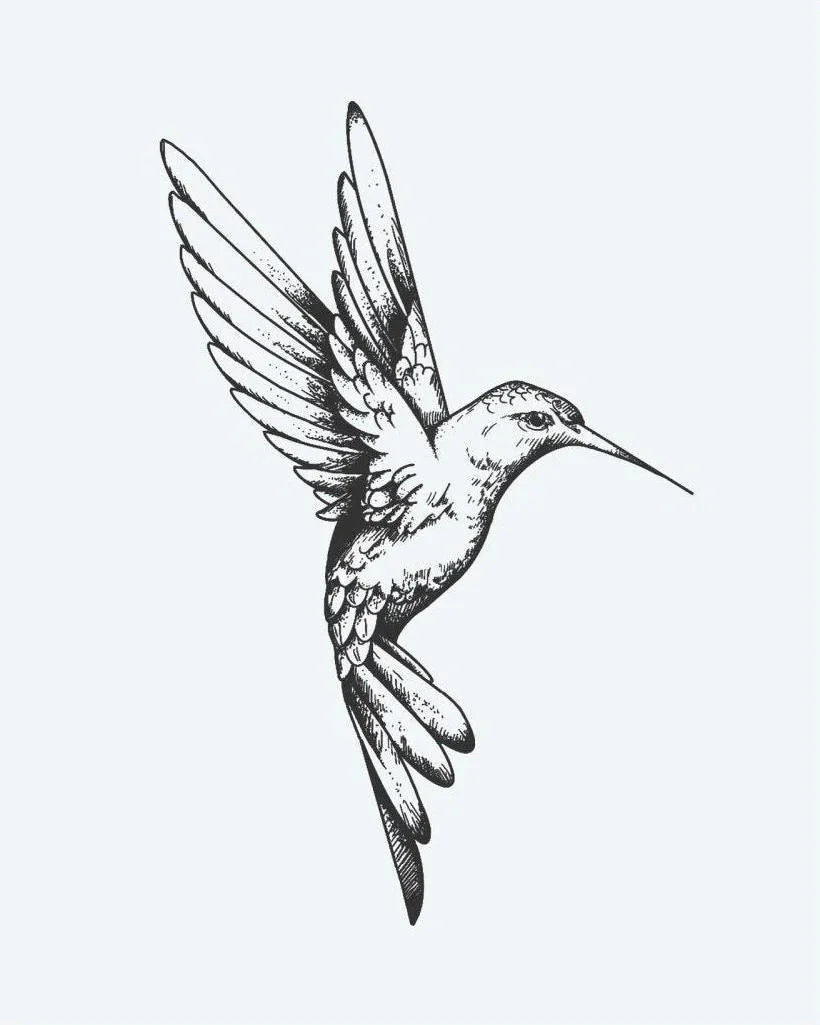 Design del tatuaggio semi-permanente Hummingbird di INKON – illustrazione splendidamente, colibrì, volo, finemente, incise, 3 x 4 in (6x11cm), disponibile su inkon.co